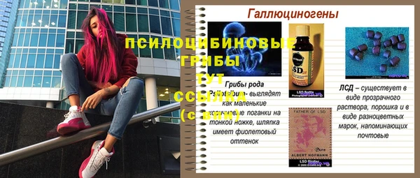 спайс Вяземский