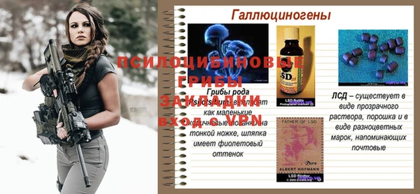 apvp Вязники
