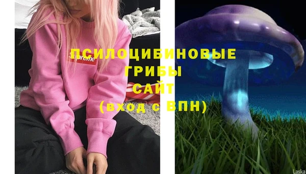 apvp Вязники